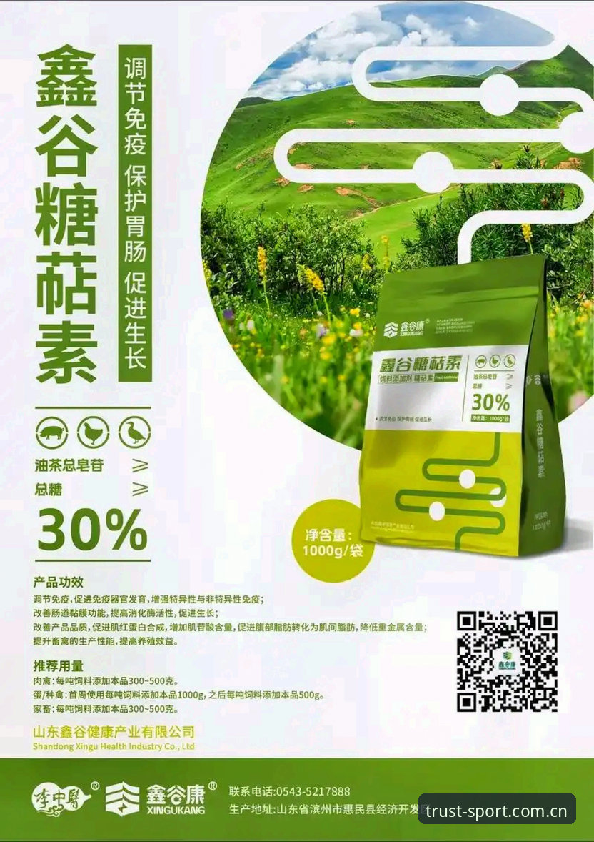 德信体育娱乐2026最新版本 德信体育平台2026版本实用升级指南